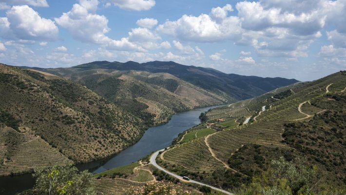 MTLV